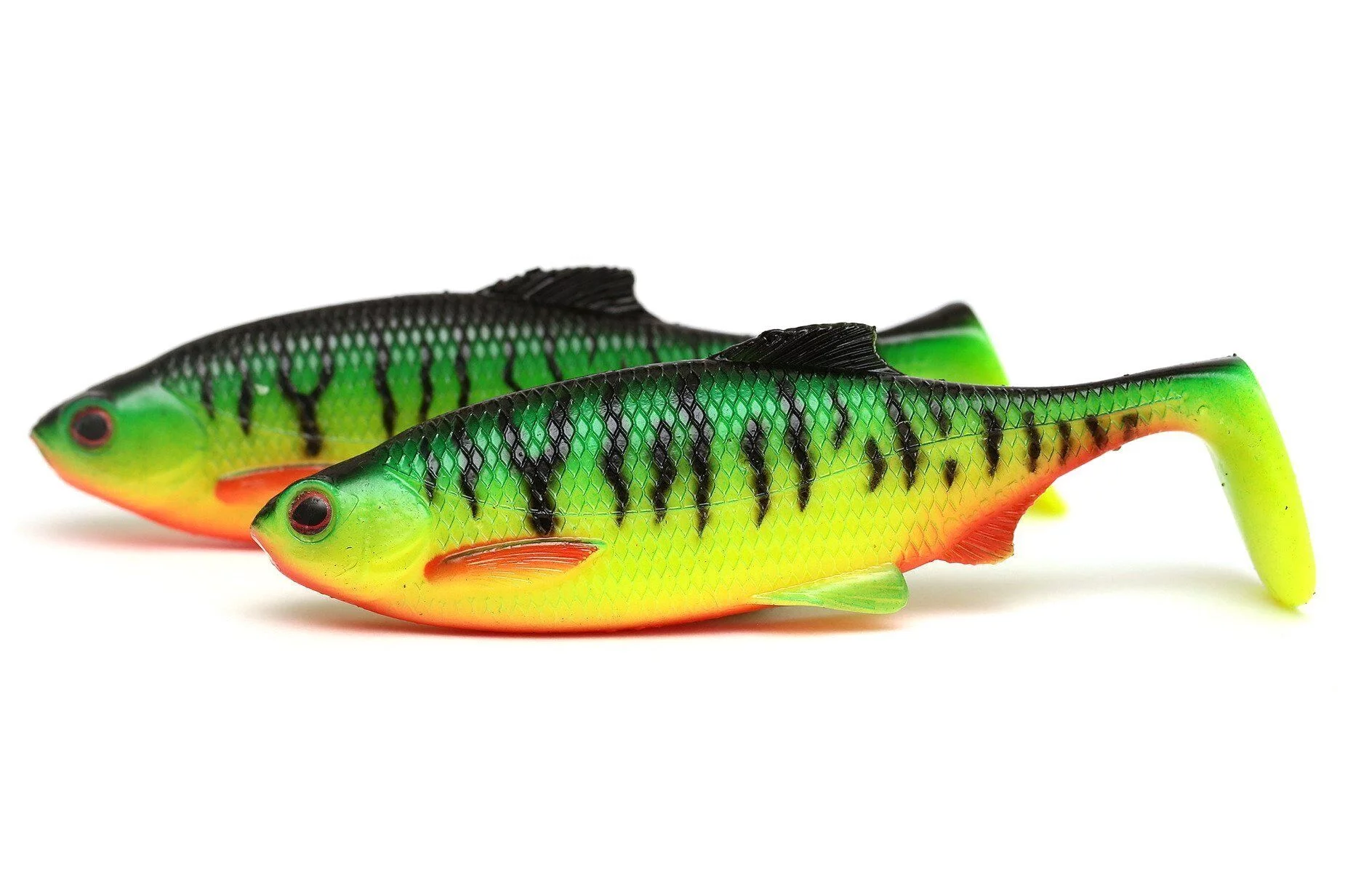 abk_pl_GUMA-WESTIN-RICKY-THE-ROACH-FIRETIGER-1szt-15584_2