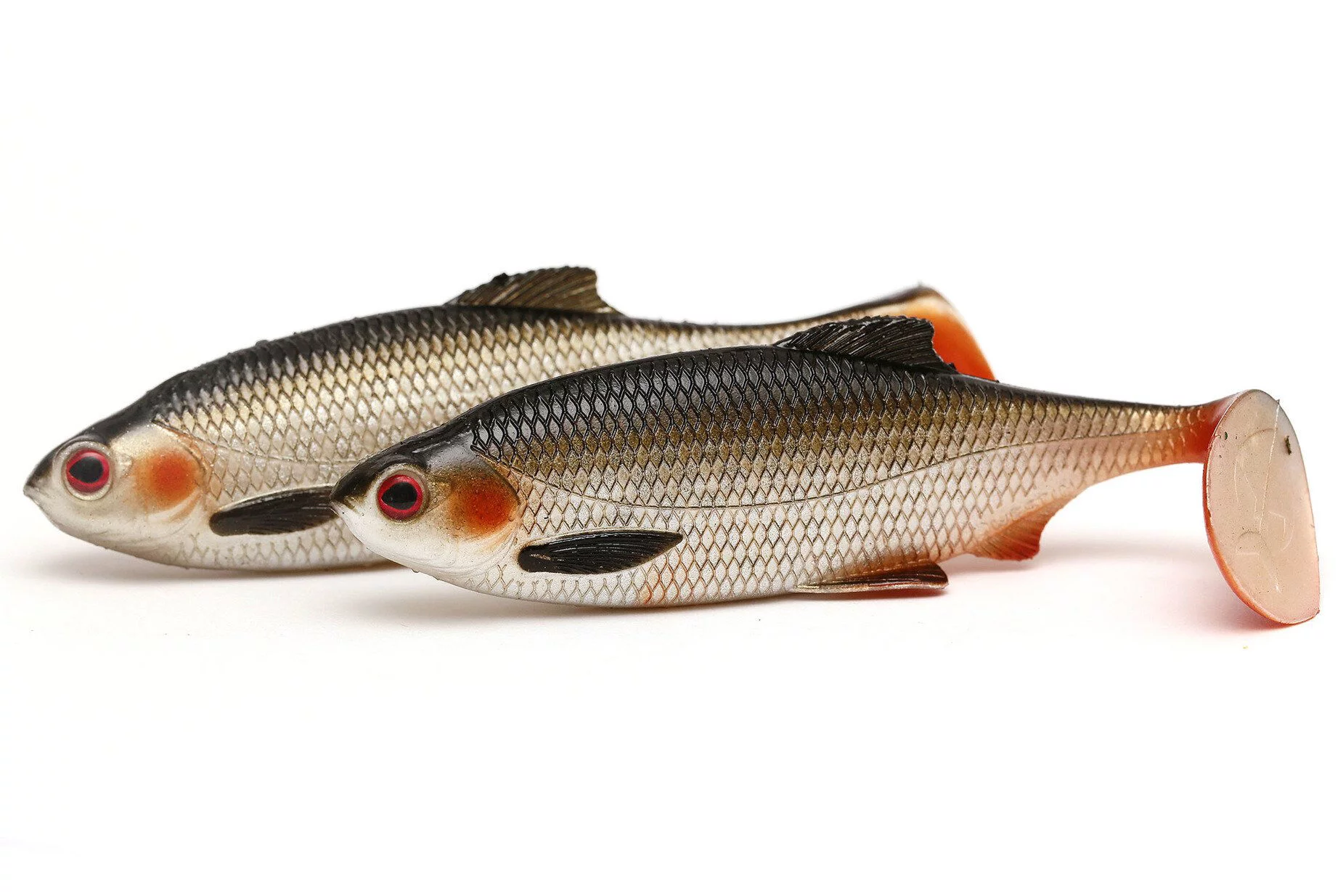 abk_pl_GUMA-WESTIN-RICKY-THE-ROACH-LIVELY-ROACH-1szt-15586_4