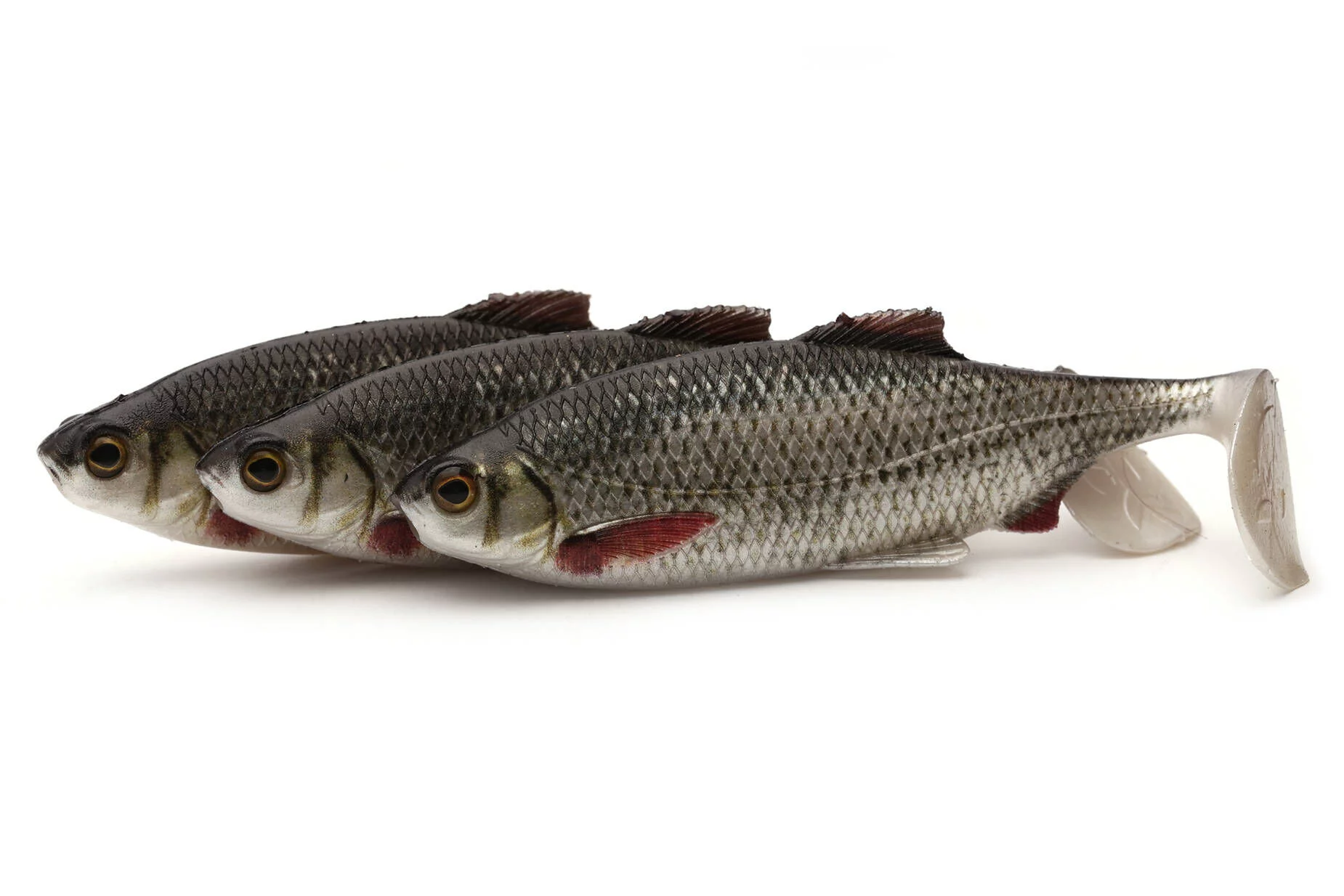 abk_pl_GUMA-WESTIN-RICKY-THE-ROACH-REAL-ROACH-1szt-26907_3