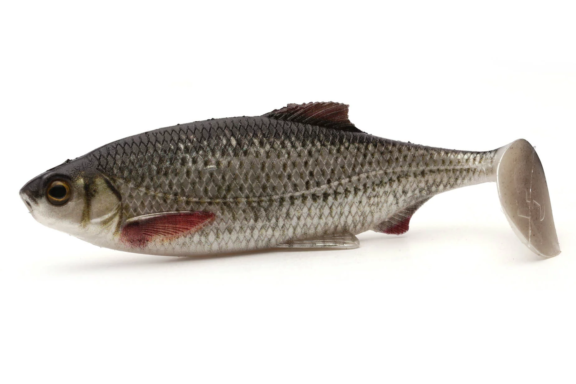 abk_pl_GUMA-WESTIN-RICKY-THE-ROACH-REAL-ROACH-1szt-26907_2