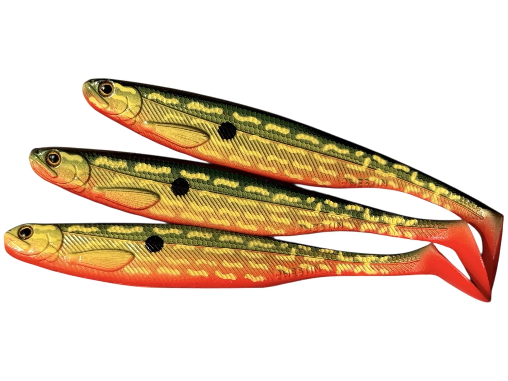 Baltic Pike Dot1