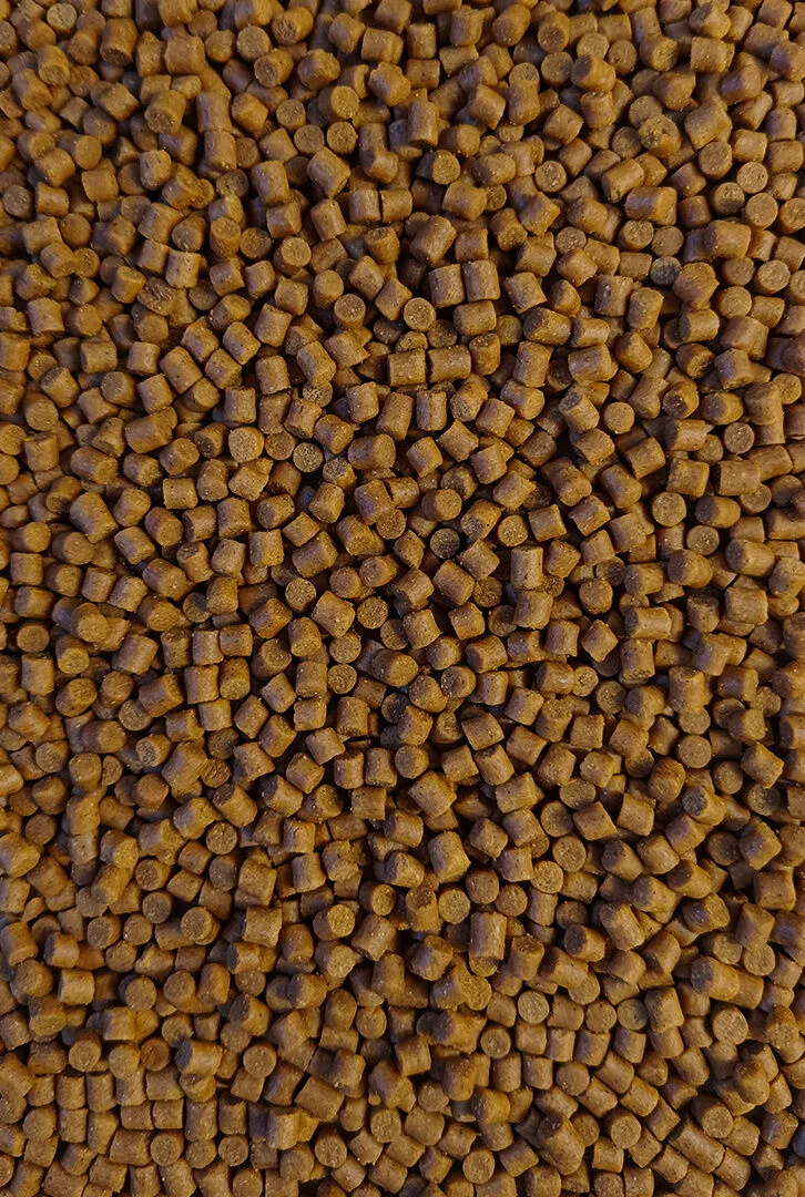 Pellet-4mm-Sweet-Corn-Feeder-Bait_[2540]_1200