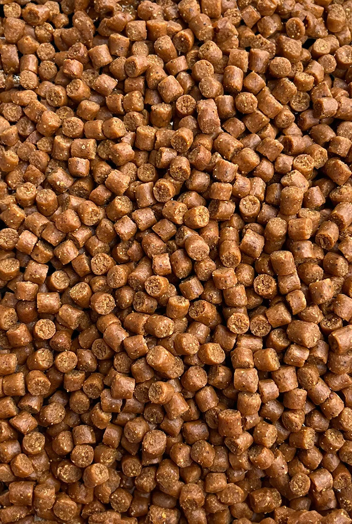 Pellet-4mm-Epidemia-Feeder-Bait_[2314]_1200